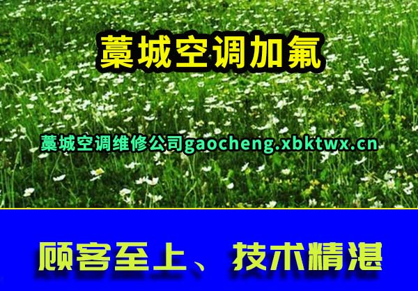 ޻ǿյӷ