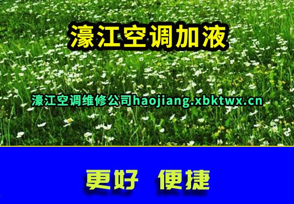婽յҺ