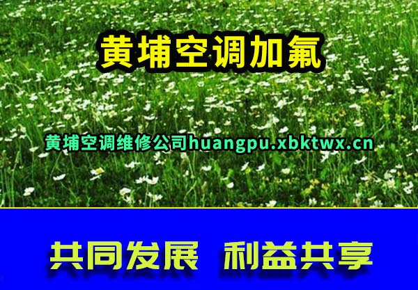 ҿյӷ