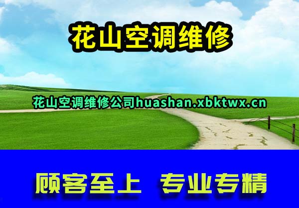 ɽյά