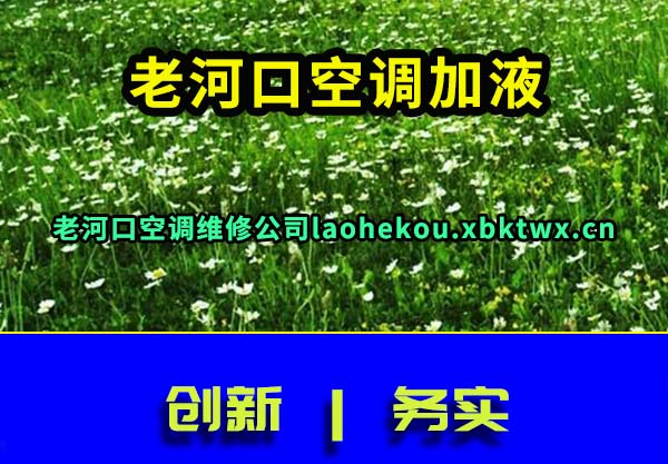 ϺӿڿյҺ