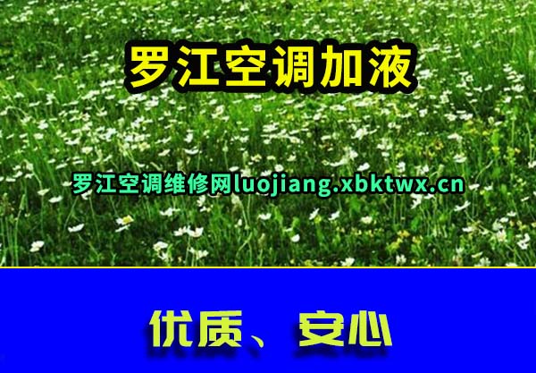 ޽յҺ