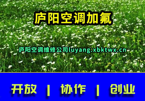 庐阳空调加氟