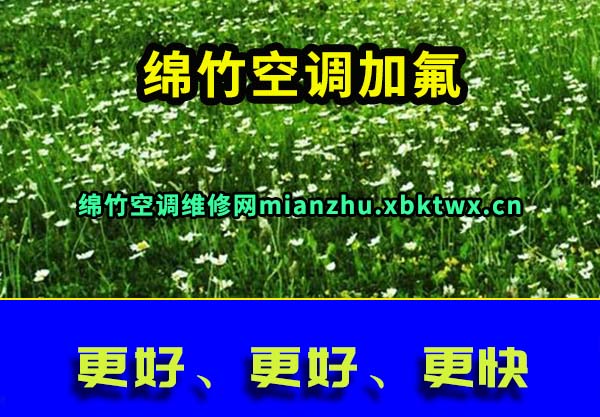 绵竹空调加氟