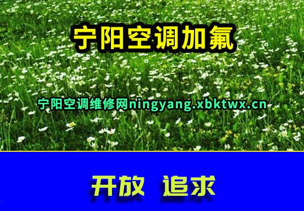 宁阳空调加氟