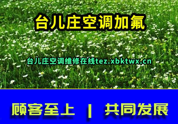 台儿庄空调加氟