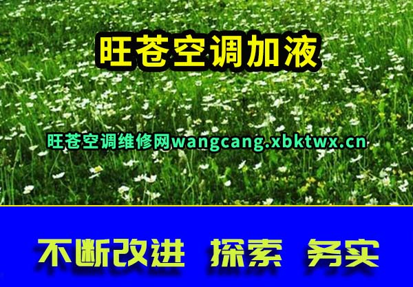 旺苍空调加液