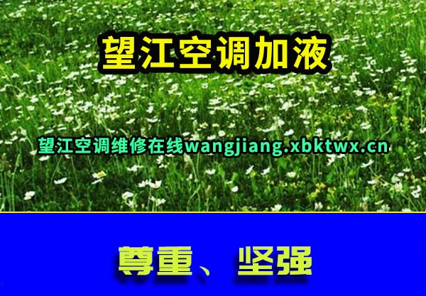 望江空调加液