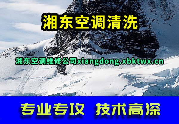 涫յϴ