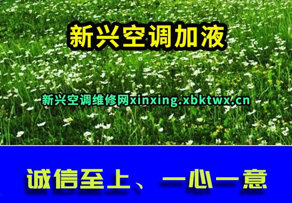 ˿յҺ