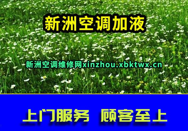 ޿յҺ