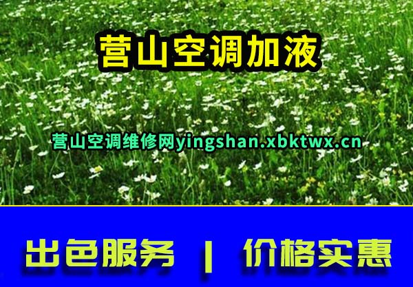 营山空调加液