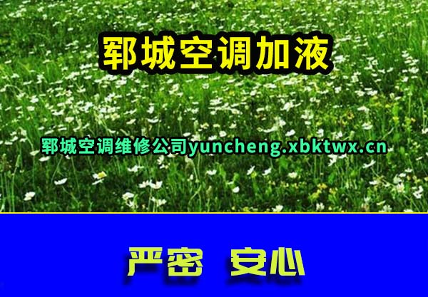 ۩ǿյҺ